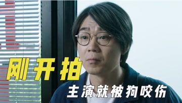 ai吃瓜君,揭秘娱乐圈那些不为人知的幕后故事