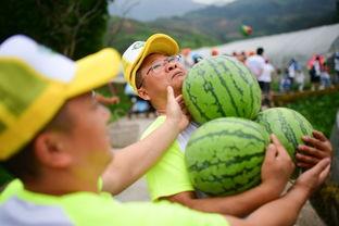 楼楼吃瓜,揭秘娱乐圈那些不为人知的幕后故事