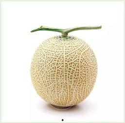 吃瓜群众减肥法,吃瓜群众也能轻松实现的减肥法揭秘